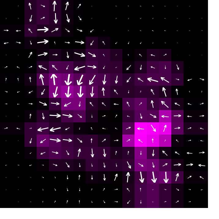 A grid of cells, with velocity vectors plotted on it